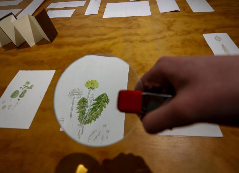 Ver arte a media hora de Medellín
