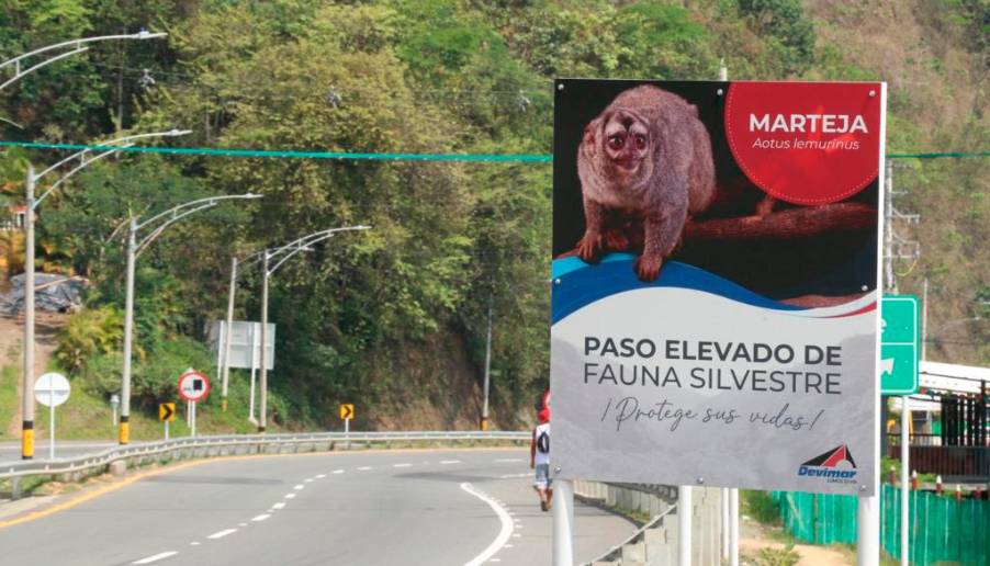 Los pasos fueron construidos en los municipios de San Jerónimo, Sopetrán, Santa fe de Antioquia, y Anzá. FOTO: Cortesía.