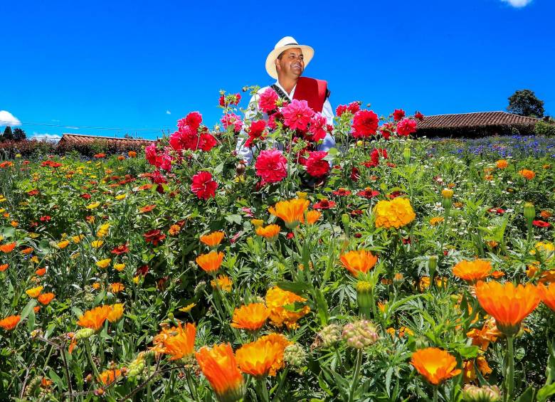 José Ángel, tras un esfuerzo familiar tremendo, logró que la mitad de su finca El Pensamiento, entregara decenas de variedades de flores para su silleta monumental y para ofrecer a sus compañeros. Su finca en el Rosario es parada obligada. FOTO JAIME PÉREZ