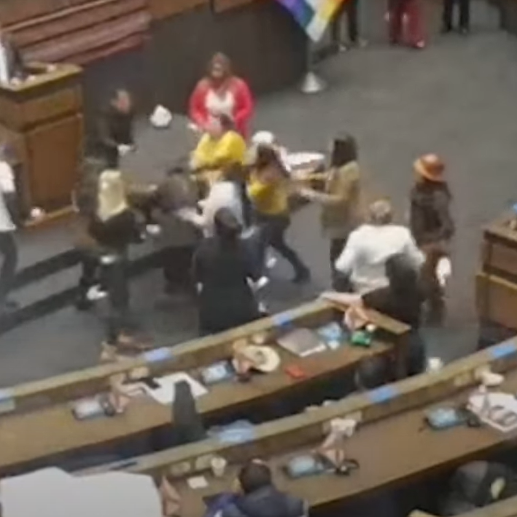 Las parlamentarias se fueron a los golpes en medio de una sesión pública del Congreso. FOTO: AFP