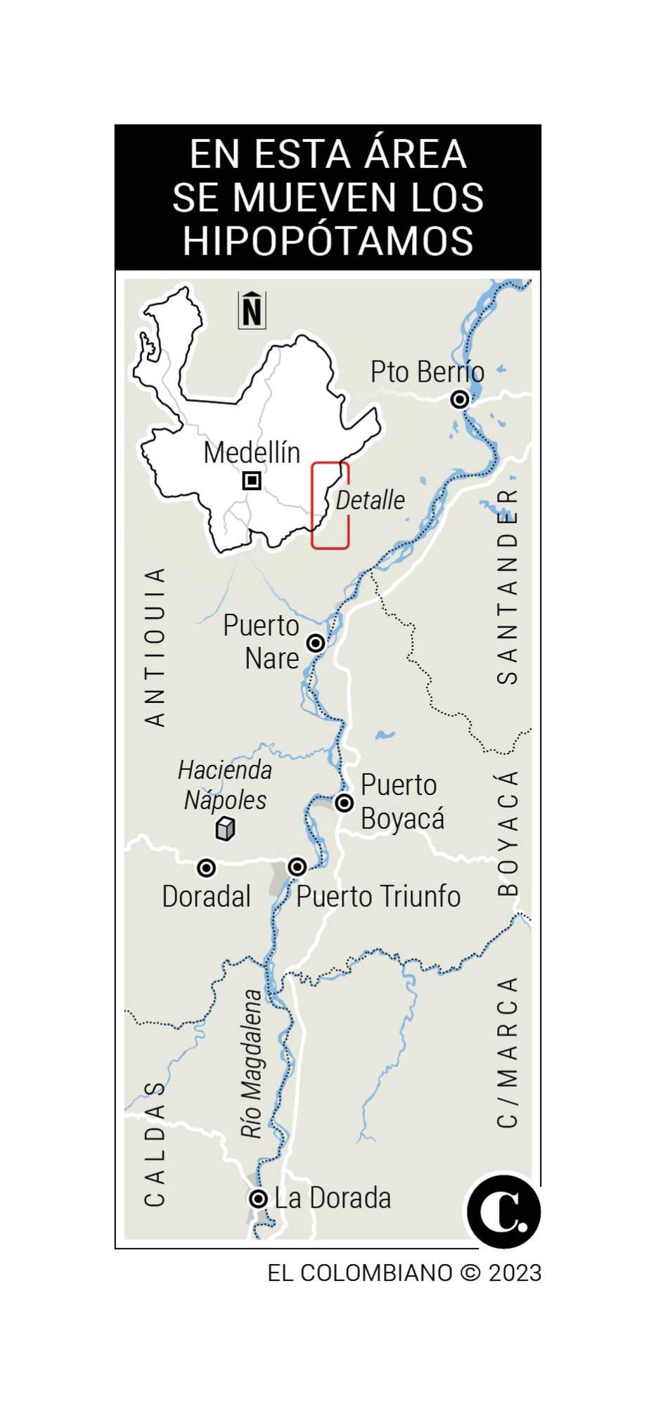 InfogrÃ¡fico