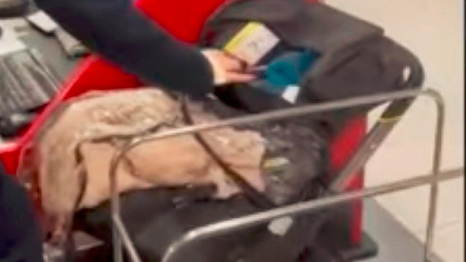 a couple abandoned their baby at an airport for not buying a ticket