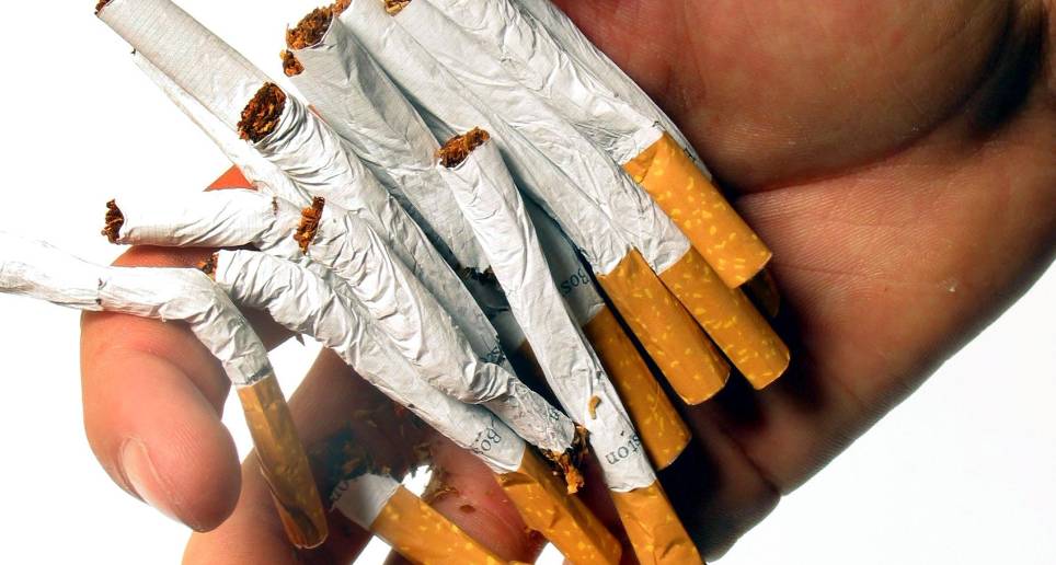 En el mundo hay tres millones de hectáreas de tierra en más de 120 países que se utilizan para cultivar tabaco. FOTO: Archivo EC