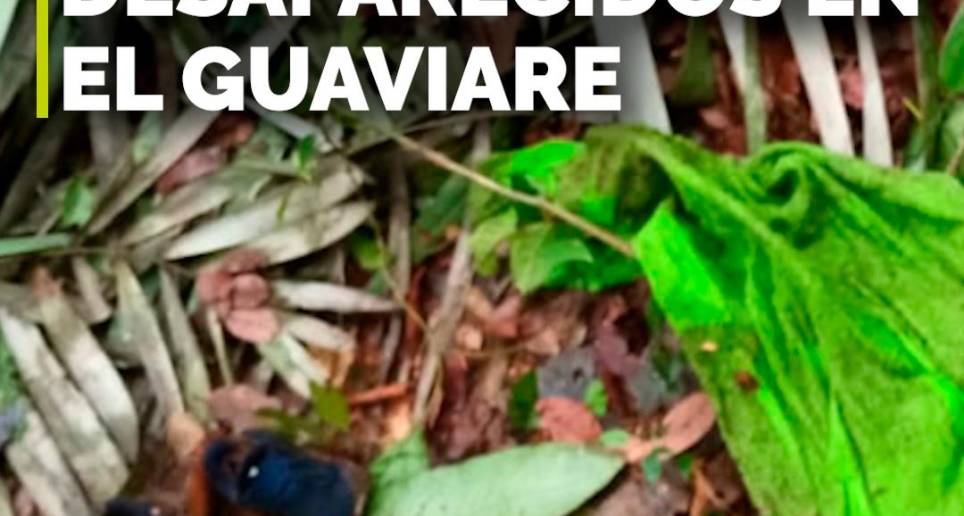 Rescatistas hallaron nuevos rastros de los niños perdidos en la selva del Guaviare