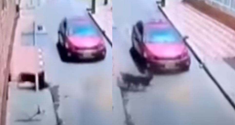 547 peatones han muerto este año en accidentes de tránsito en las vías del país. FOTOS CAPTURA DE PANTALLA CITYTV