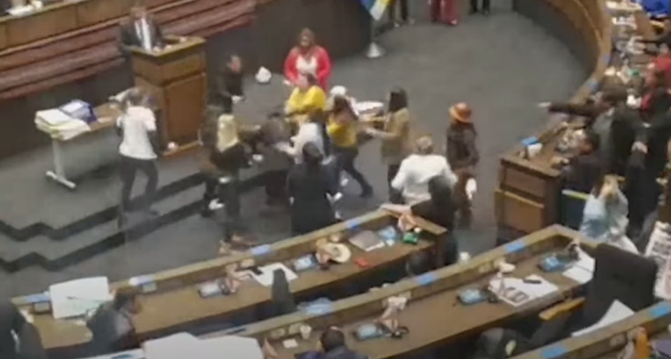 Las parlamentarias se fueron a los golpes en medio de una sesión pública del Congreso. FOTO: AFP