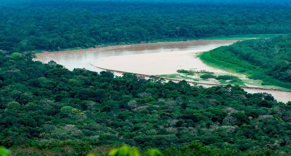 Los niños completan 18 días desaparecidos en medio de la selva. FOTO: FUERZA AÉREA 