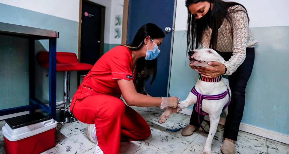 Nieve se prepara para donar sangre. FOTO Jaime Pérez