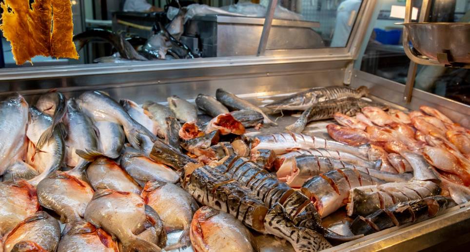 En 30% se incrementó el volumen de pescado colombiano en el exterior. FOTO Juan Antonio Sánchez