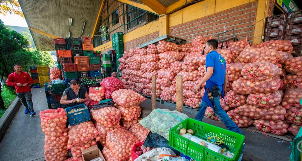 Frutas frescas, cebollas y papas negras bajaron de precio en mayo y se espera que ayuden a disminuir la inflación. FOTO Esneyder Gutiérrez