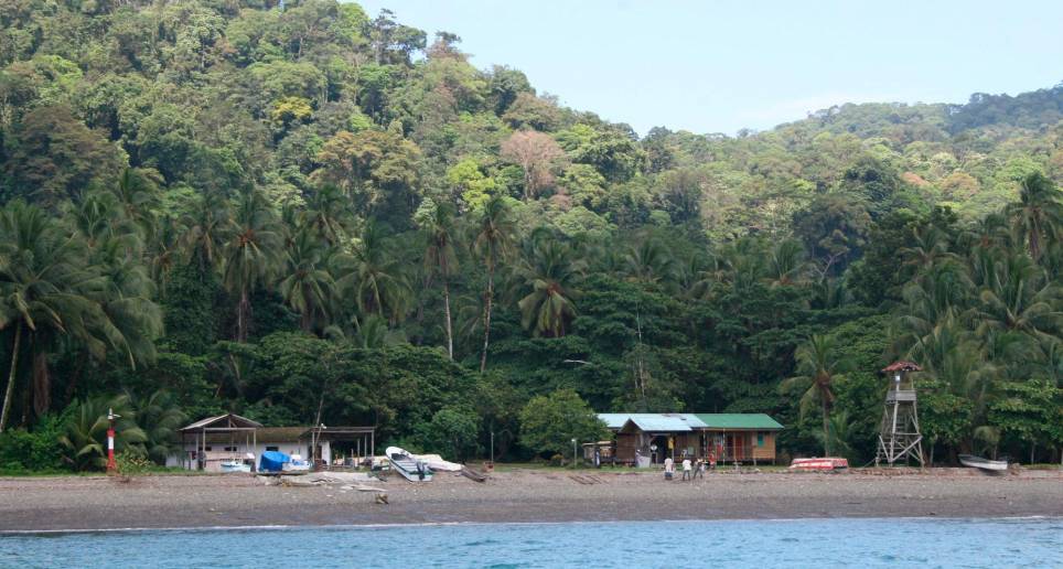 La isla se cerró por la muerte de 58 pelícanos contagiados con la gripa aviar. FOTO MANUEL SALDARRIAGA 