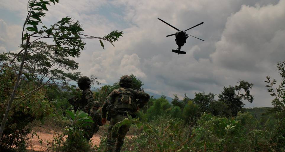 Imagen de referencia de la erradicación de cultivos de uso ilícito en Colombia. FOTO: COLPRENSA