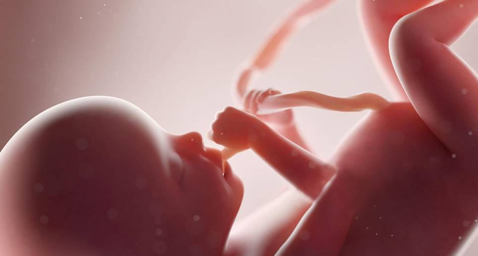 Jesús es el nombre del primer bebé nacido de un útero trasplantado en España. Como él hay un centenar de bebés en el mundo, nacidos de un útero ajeno al de su madre. Estos casos exitosos dan luces para la aprobación mundial de este procedimiento médico que podría beneficiar a muchas mujeres. FOTO: GETTY