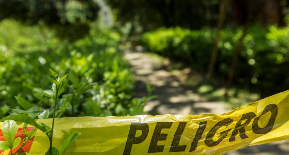 El año pasado se registraron 190 homicidios en el Oriente. Foto: Archivo. 