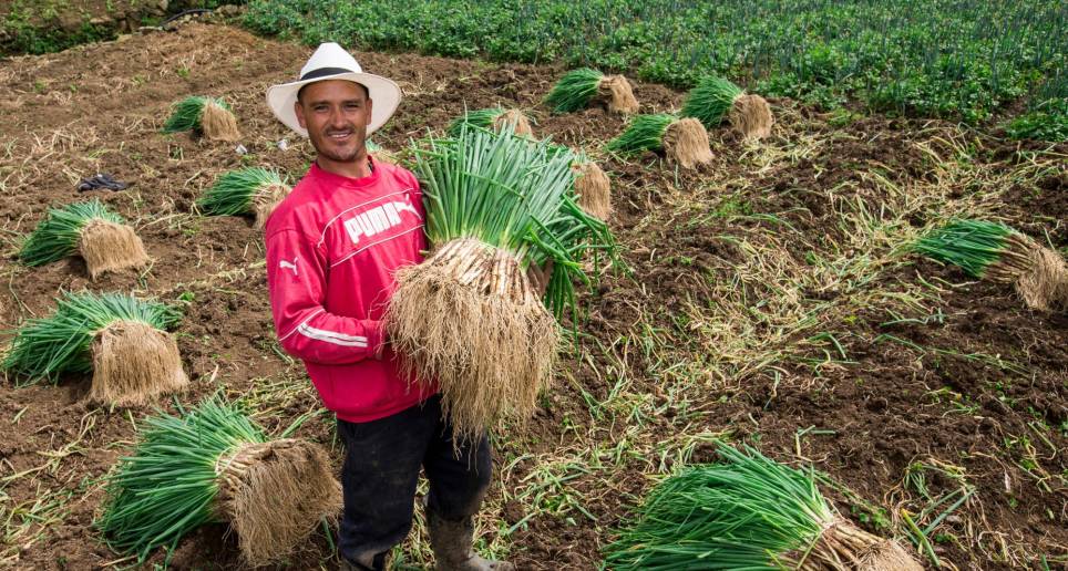 Agro, comercio, hotelería y mipymes: así impactaría la reforma laboral a los trabajos estacionales