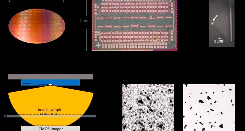 En la imagen: a) Oblea de 300 mm completamente fabricada. (b) Primer plano del troquel del chip. (c) Micrografía infrarroja con el LED encendido. (d) Microscopio holográfico. (e) Primer plano de la imagen holográfica reconstruida. (f) Verdad del suelo. Foto Cortesía SMART