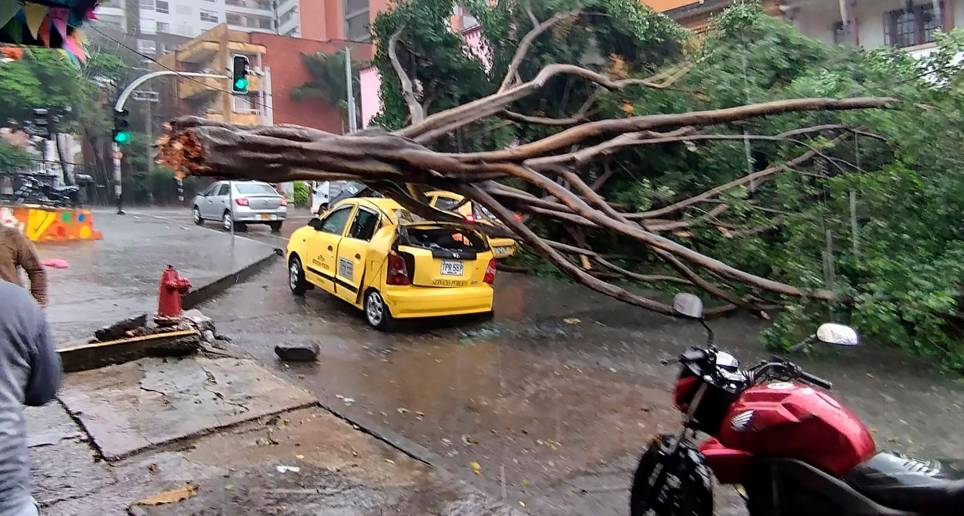 Con cada aguacero terminan en el suelo árboles a los que les faltado poda por parte de la Alcaldía; uno de los últimos paso en Buenos Aires con este taxi. Foto Cortesía