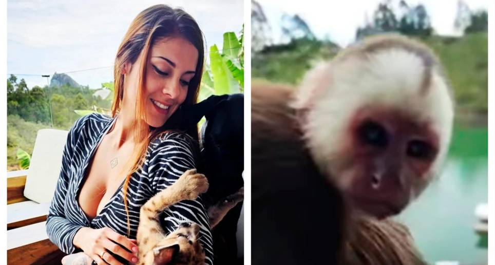 La DJ Metrioz Withz publicó dos fotos con el puma cachorro (izq.) y un video donde mostraba al mono capuchino (der.). FOTOS: TOMADAS DE LAS REDES SOCIALES