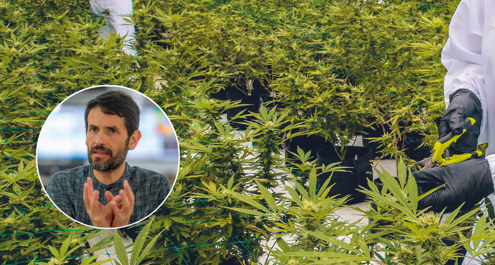 El representante liberal Juan Carlos Losada (foto detalle), autor de la iniciativa, explicó que además de regularizar el comercio de cannabis de uso adulto, se busca garantizar la prevención del consumo y restricciones en ciertos entornos. FOTOS JUAN ANTONIO SÁNCHEZ Y CARLOS VELÁSQUEZ