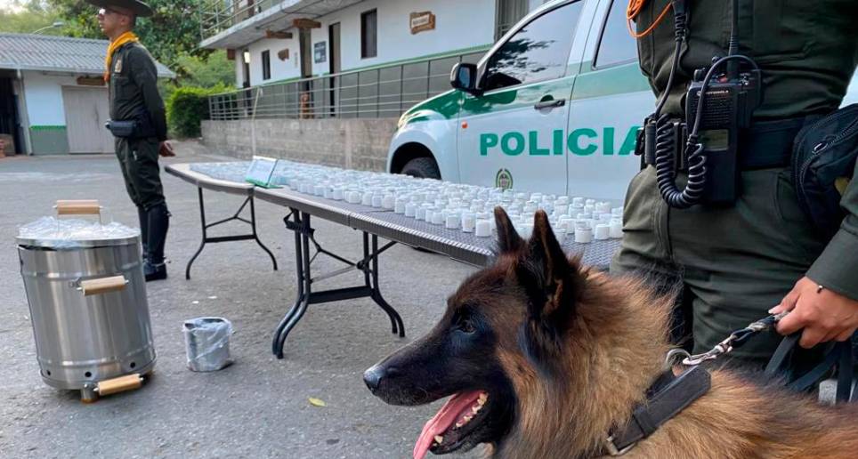 Thor junto al cargamento que encontró. Foto: Cortesía Policía Metropolitana. 