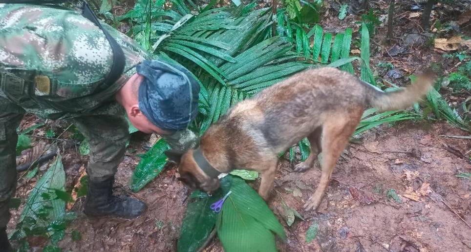 Son 150 hombres que siguen en la selva las huellas y rastro dejados por los cuatro niños. FOTO Colprensa