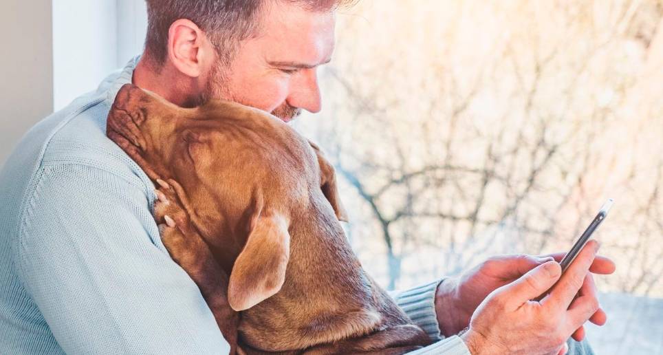 Cuide a sus mascotas y antes de compartir estas alarmas verifique si son reales o no. FOTO: SSTOCK