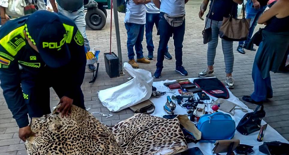 En el mercado Sanalejo fue incautada la piel de un jaguar a plena luz del día en un operativo de la Policía gracias a una alerta ciudadana. ¿Acaso el vendedor desconocía que el tráfico de fauna es delito? FOTO CORTESÍA