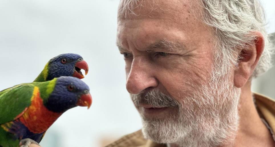 FOTO: TWITTER @TwoPaddocks