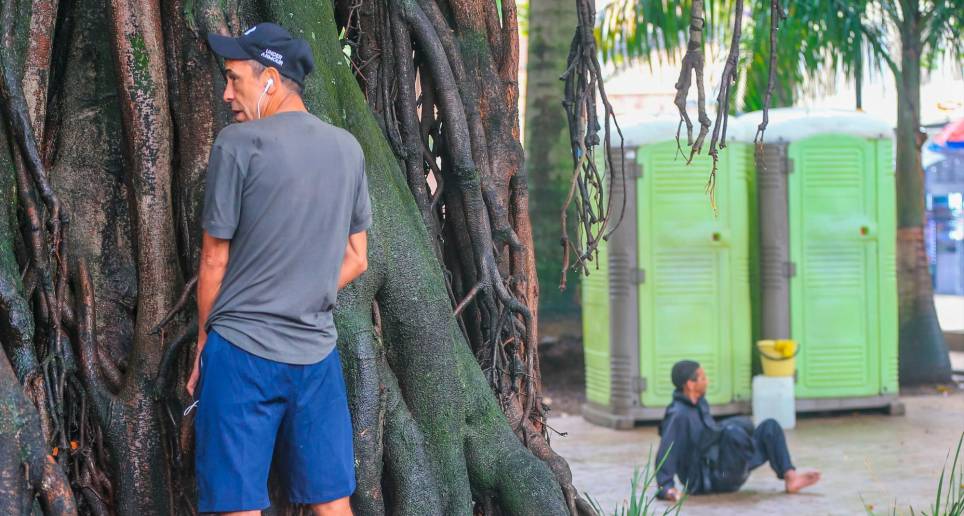 Las ceibas bongas del Parque Bolívar son utilizadas como orinales. Allí hay dos baños portátiles mal aseados. FOTO esneyder gutiérrez