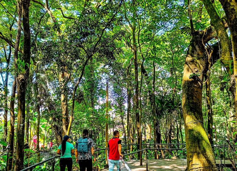 10 curiosidades para ver en el Jardín Botánico