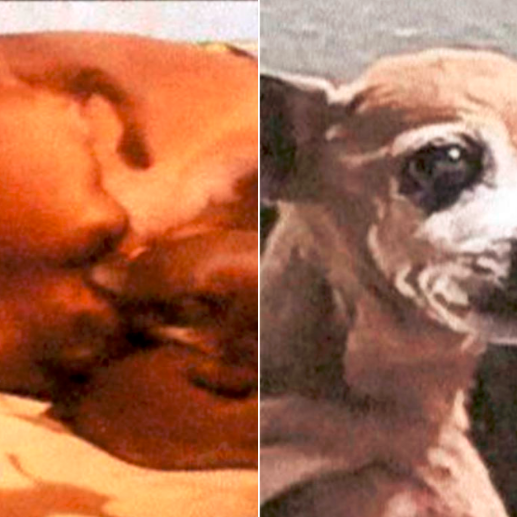 Estas son algunas de las fotografías de Lulu, la perrita que habría sido ahorcada por un falso veterinario en Ibagué. FOTO: FISCALÍA