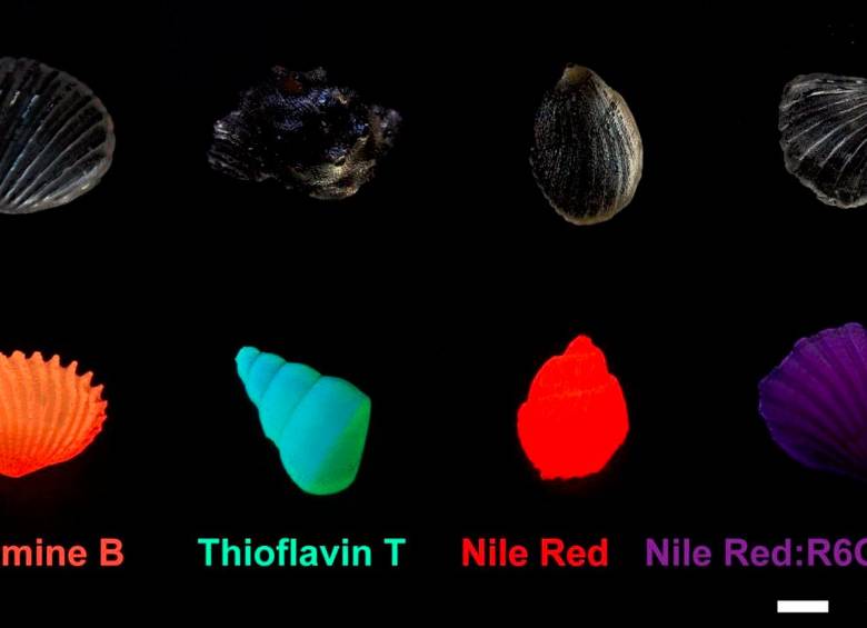 Fotografías de vidrio de campo oscuro (superior) y fluorescente (inferior) vaciado con moldes comerciales. FOTO Cortesía XING RUIRUI