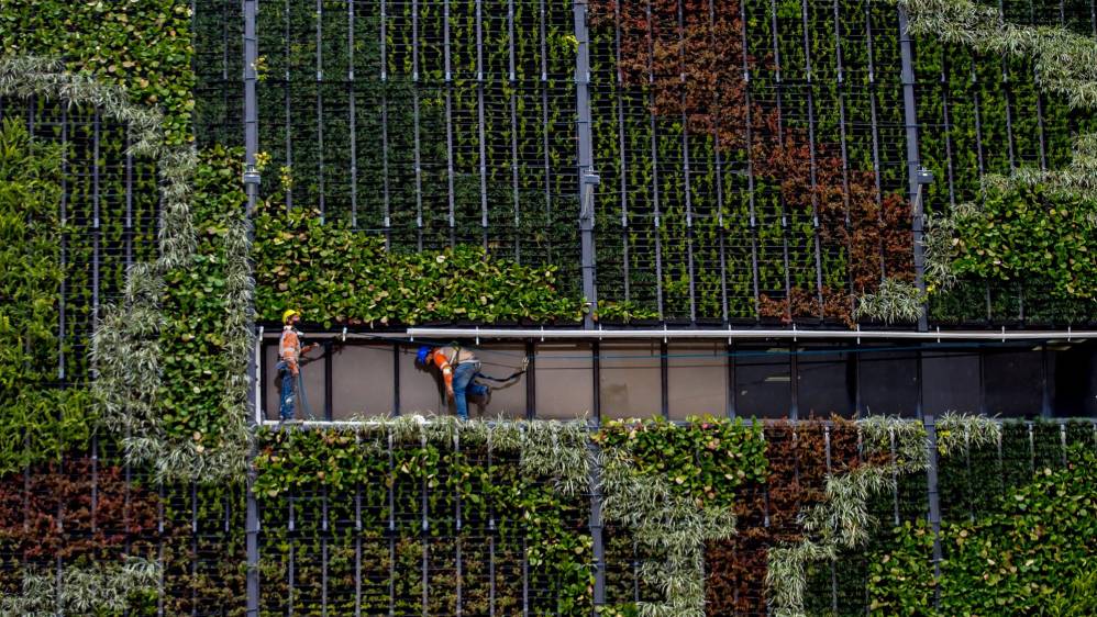 Los jardines tienen la capacidad de producir oxígeno para 684 personas cada año. Foto: Juan Antonio Sánchez Ocampo
