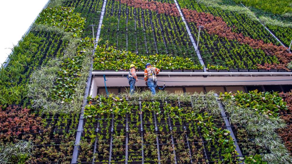 Estos proyectos no solo embellecen el paisaje urbano de la ciudad sino que cumplen con una función ambiental. Foto: Juan Antonio Sánchez Ocampo