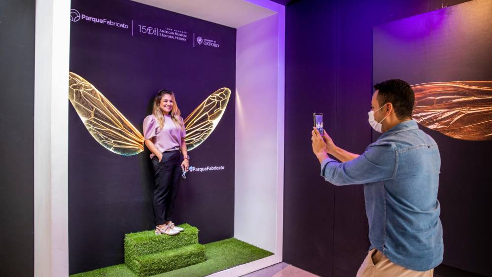 Los asistentes pueden tomarse fotografías con alas de insecto como un recuerdo de la exhibición. Foto: Carlos Velásquez