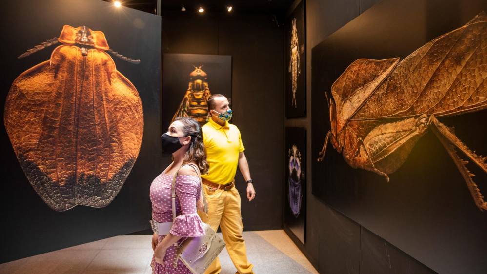 Esta muestra ya ha recorrido 22 países. Foto: Carlos Velásquez
