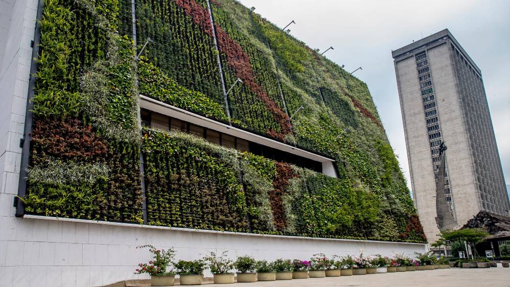 El jardín vertical en la fachada del Concejo mide 475 m2 y los del interior de La Alpujarra suman otros 292 m2 para un total de 767 m2. Foto: Juan Antonio Sánchez Ocampo
