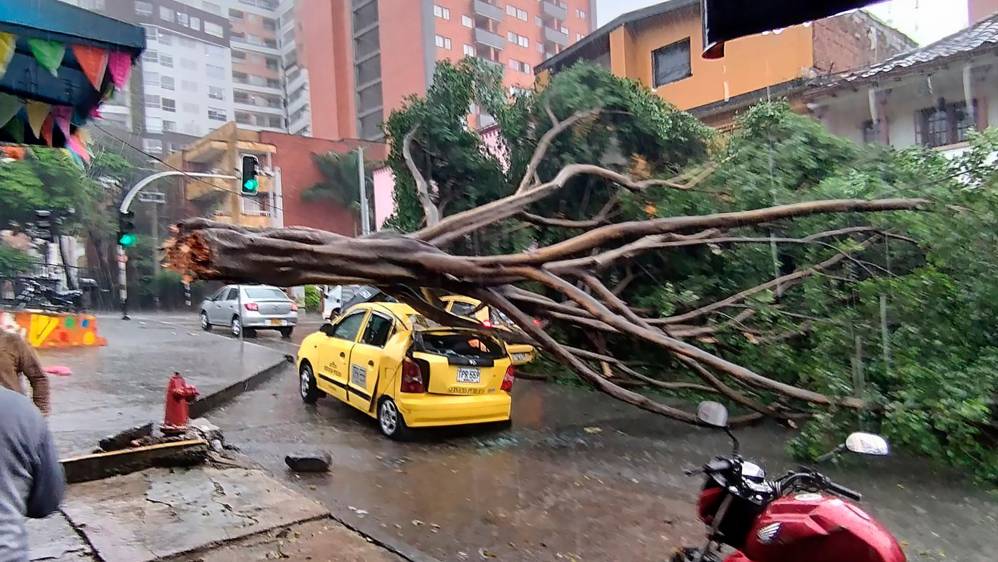 Con cada aguacero terminan en el suelo árboles a los que les faltado poda por parte de la Alcaldía; uno de los últimos paso en Buenos Aires con este taxi. Foto Cortesía