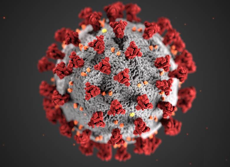 Ilustración CDC de Estados Unidos