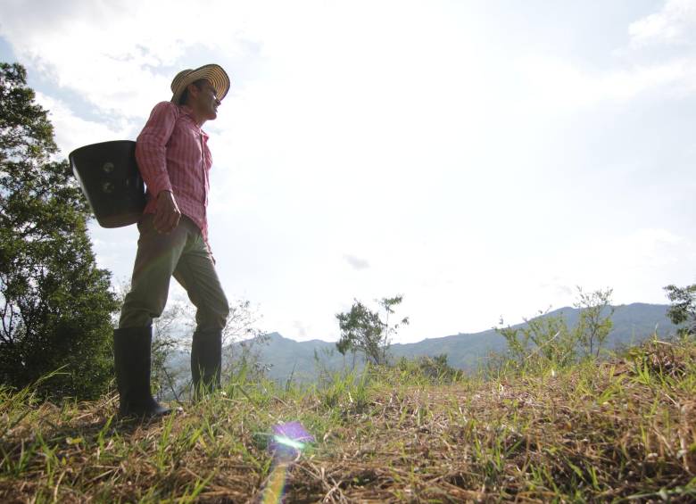 44 campesinos han denunciado que presuntos tramitadores han intentado estafarlos con sus gestiones ante la Agencia Nacional de Tierras, que son gratuitos. FOTO Cortesía ANT