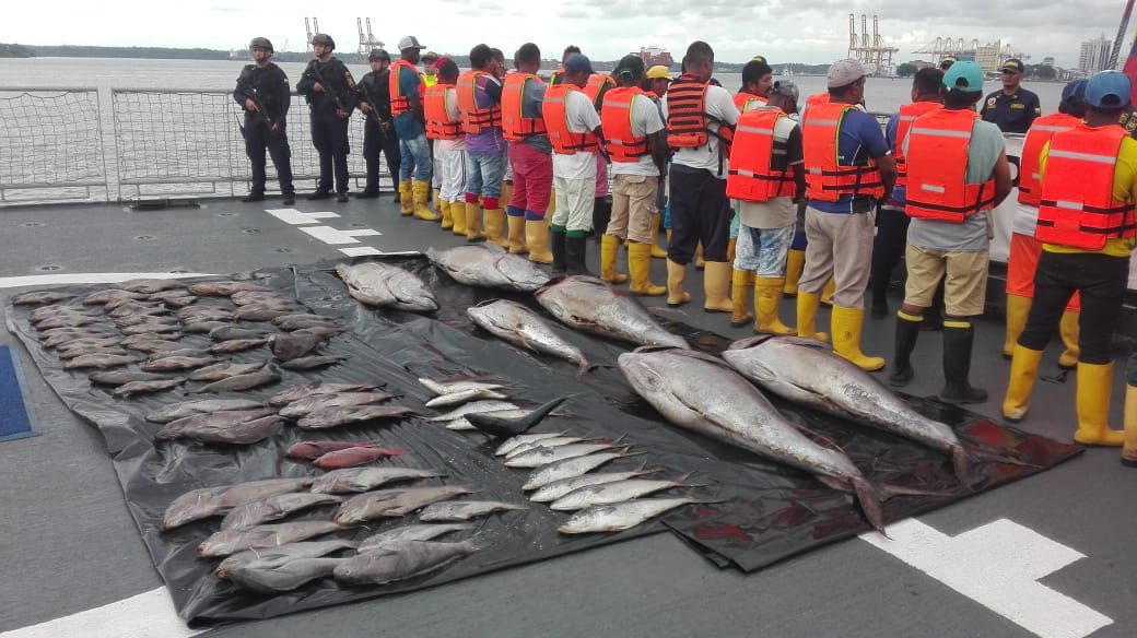 Unduh 84 Koleksi Gambar Flora Dan Fauna Dan Nama Latinnya Terbaik 