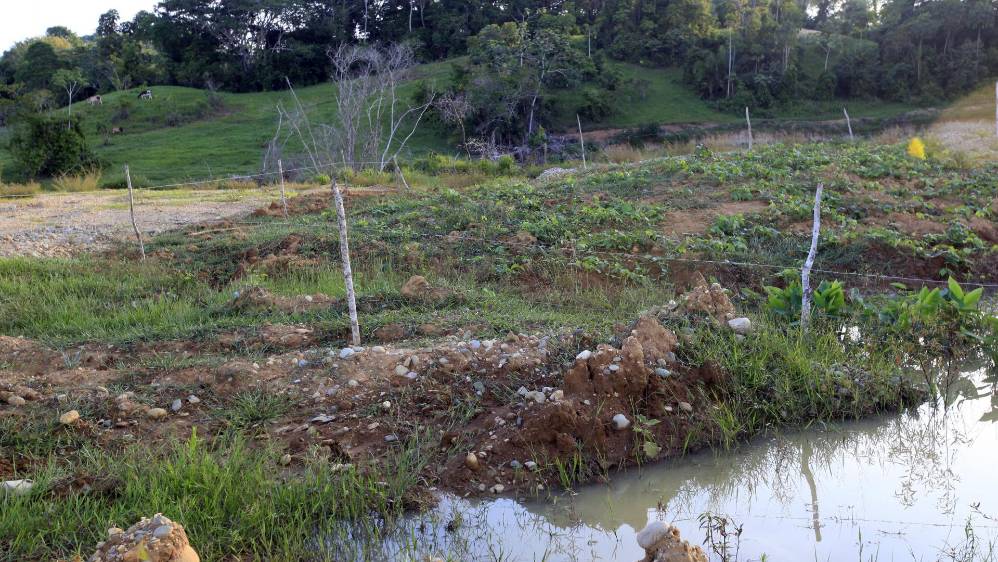 El Proyecto Global de Mercurio en Antioquia, a cargo de la ONUDI, Gobernación de Antioquia y Corantioquia, lleva invertido 1.050 millones de pesos reduciendo la utilización del mercurio a 35 toneladas al año en el Nordeste y recuperando 250 hectáreas degradadas por la minería. FOTO MANUEL SALDARRIAGA