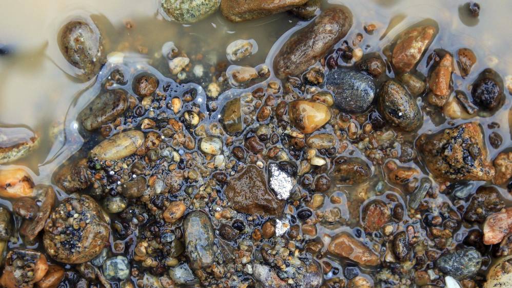En promedio cada entable, de los 1.526 que existen en Antioquia, emite al medio ambiente aproximadamente 19,86 kilos de mercurio al mes. FOTO MANUEL SALDARRIAGA