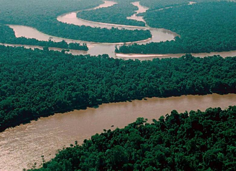Amazonas. Tomada de hdfondos.eu