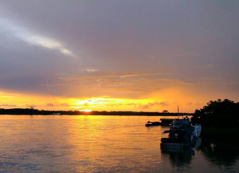Proteger la biodiversidad de la Amazonia es el objetivo de este corredor biológico planteado. FOTO COLPRENSA