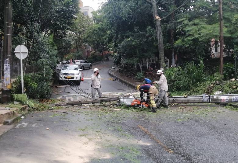 Autoridades registraron árboles y postes caídos en Medellín. Foto: Dagrd
