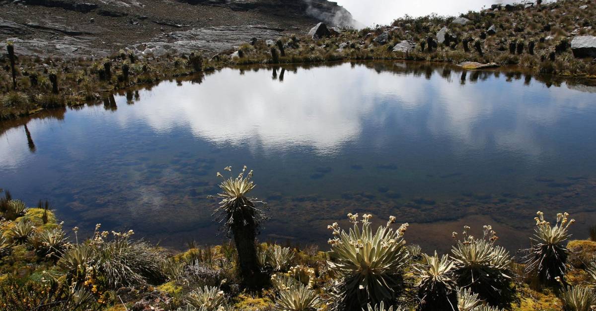 Estos son los 18 Parques Nacionales que hoy cumplen 40 años