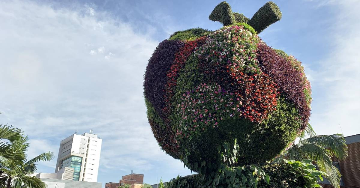 El Centro Comercial Oviedo celebra su aniversario número 40 - El Colombiano