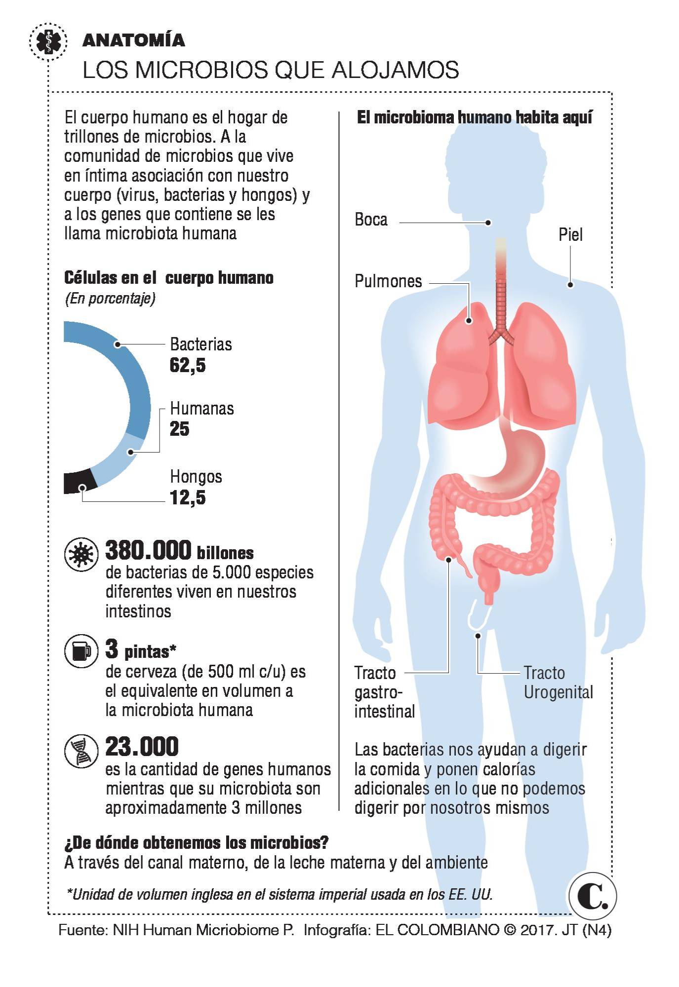 Carta de agradecimiento a las bacterias