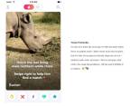 Así se ve el perfil de Sudán en Tinder. FOTO: cortesía Tinder